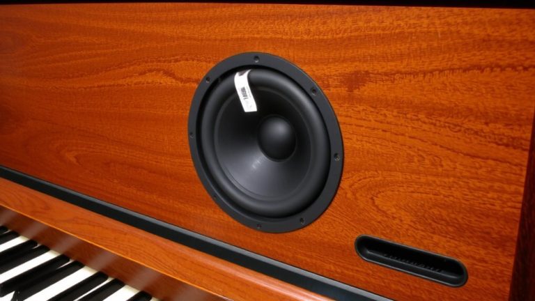 cabinet acoustics in speaker design