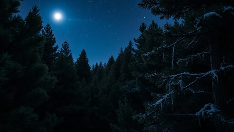 best night time cameras