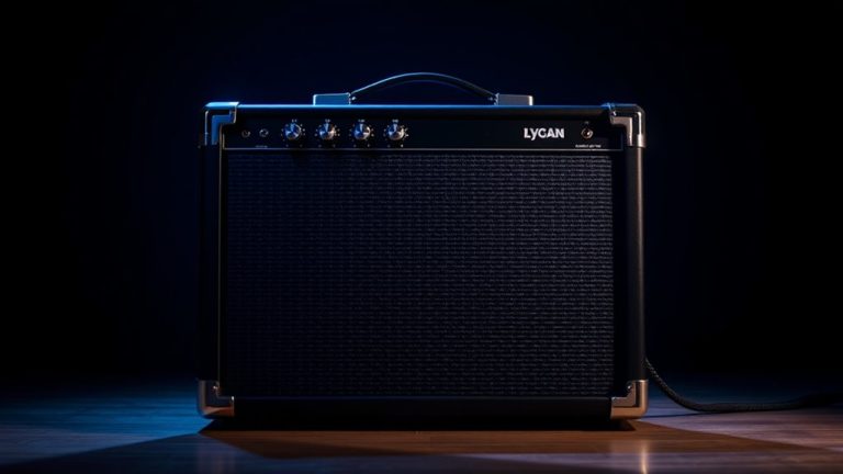 deep powerful bass amps