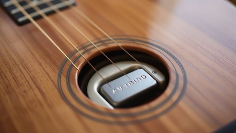 rich tone soundhole pickups